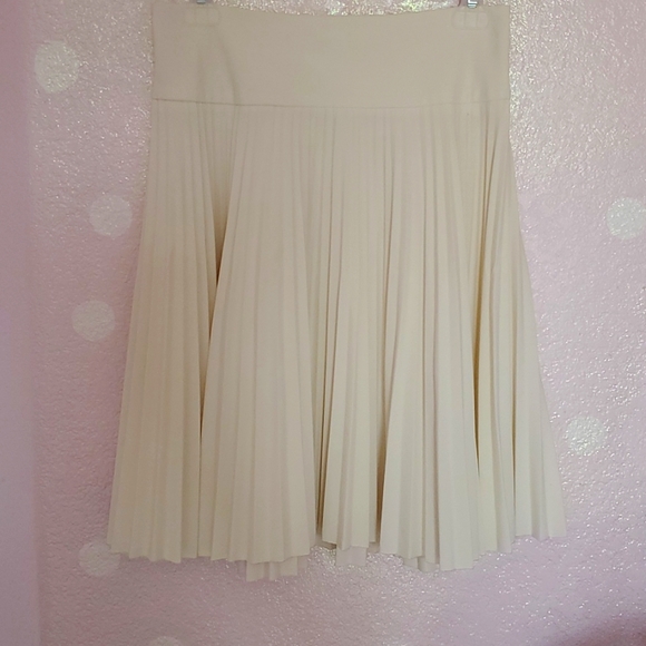 Have Pleated Skirt - Picture 1 of 4